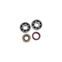 kit cojinetes carter motor aprilia rs 50 -05 athena