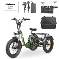eu direct hola hd-et1 triciclo electrico de carga bateria 48v 20ah motor de 750w velocidad maxima recomendada 25kmh l