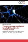 terapia ocupacional para la rehabilitacion del control motor tratamie