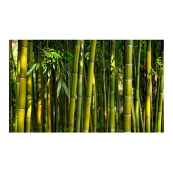 Papel Pintado 3d - Un Bosque De Bambú En Asia (450x270 Cm)