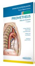prometheus. atlas de anatomia. fichas de autoevaluacion. tomo 2: organ