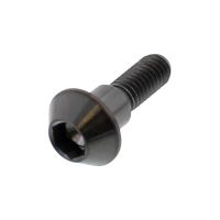 tornillo de fijacion del disco de freno m6x1 20mm inox negro