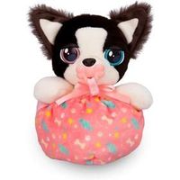 mini border collie baby paws