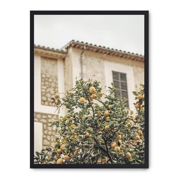 Cuadro Lemon Tree