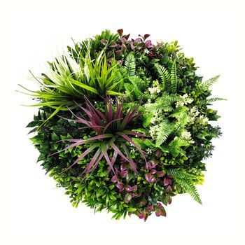 Iris - Cuadro Vegetal Redondo Ø50 Cm Con Hojas Y Flores De Pe Marco De Aluminio Negro
