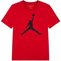 nike polo te-ss tee para hombre