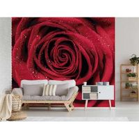 fotomural vinilo rosa rocio matinal 600 x 300 cm