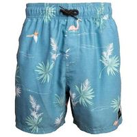 rip curl short short rip curl pajarito volley bleu para hombre