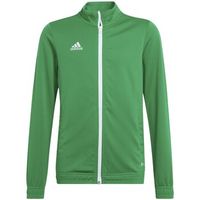 adidas chaqueta entrada 22 para nino