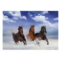 papel pintado 3d - horses in the snow 250x175 cm