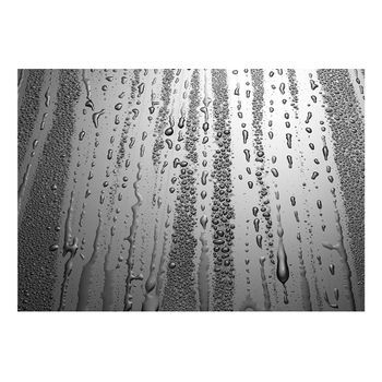 Papel Pintado 3d - Llovizna De Verano (400x280 Cm)