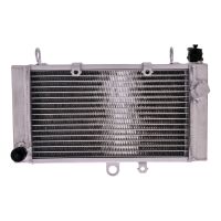 refrigerador motor honda cbf 500 agua