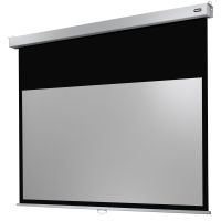 celexon professional plus pantalla de proyeccion manual mural 280x175cm