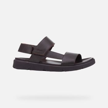 GEOX Xand 2s Hombre Coñac