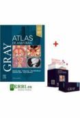 lote gray anatomia gray atlas de anatomia  gray flashcards de anatom