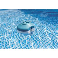 2-in-1 floating chlorine dispenser and thermometer
