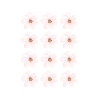 Stickers decorativos flores margarita rosa
