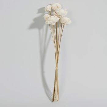 Ramo de flores secas beiges