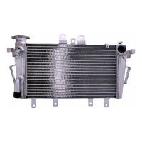 refrigerador motor triumph tiger 1050 -13 agua
