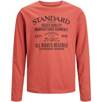 Jack & Jones Camiseta manga larga 12237416 JJEJEANS TEE LS O-NECK 23/24 NOOS JNR CINNABAR para niño