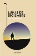 lunas de diciembre