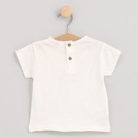 cotton fish tops y camisetas 90662 para nino