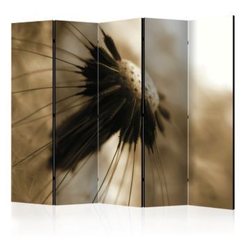 Biombo - Dandelion - Sepia Ii (225x172 Cm)