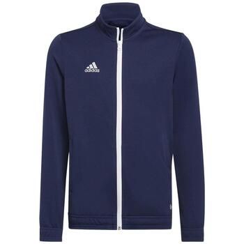 adidas Cazadora Entrada 22 para niña