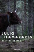 cuentos cortos