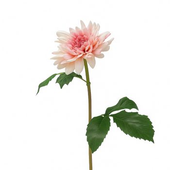 Tallo de dalia artificial rosa h50