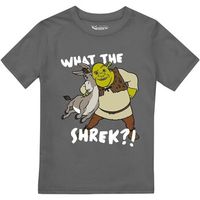 shrek camiseta manga larga best buds para nino