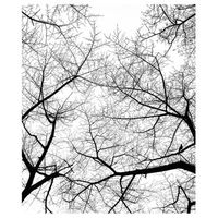 legendarte - cuadro lienzo impresion digital - el cielo en invierno - decoracion pared cm 60x75