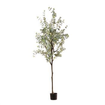Eucalipto Artificial Verde 180cm – Naturing Monde