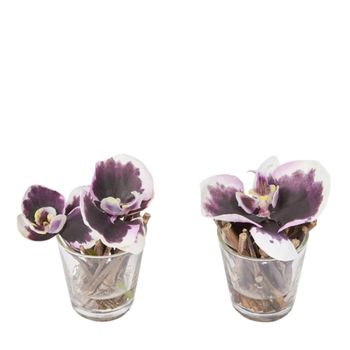Lote de 2 orquídeas ilusión de agua artificiales moradas d10
