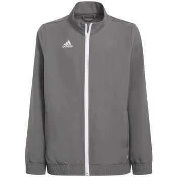 adidas Cazadora Entrada 22 para niña