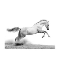 papel pintado 3d - white gallop 200x154 cm