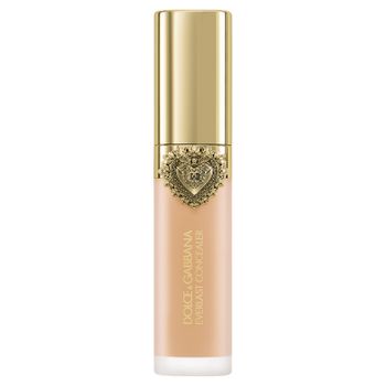 Everlast Concealer 13 Light Medium