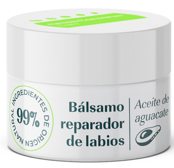 Green Cornerss Care Bálsamo Labial de Aguacate 15 ml