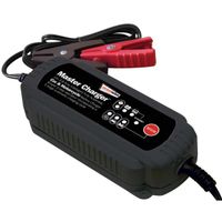 38 amp 12 v intelligent battery charger