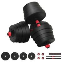 set de mancuernas y barra de 2 en 1 30 kg negro y rojo vidaxl