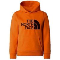 the north face jersey drew peak po para nino