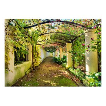 Papel Pintado 3d - Pérgola (150x105 Cm)
