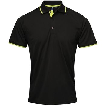 Premier Polo LT5319 para hombre