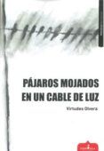 pajaros mojados en un cable de luz
