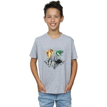 Harry Potter Tops y Camisetas Hogwarts para niño