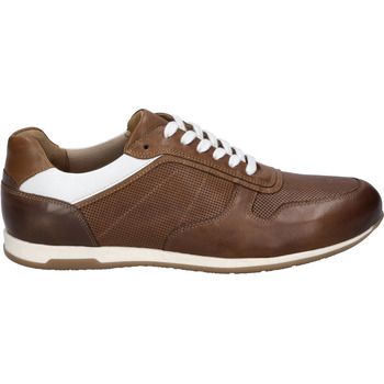 Josef Seibel Zapatos Bajos Colby 01 para hombre