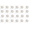 pack 24 pay pay mediano color natural  pack 24 abanico de palma lacado 22x30cm