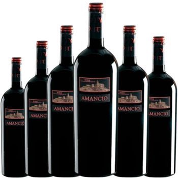 Amancio Tempranillo, Vino Tinto, España, Pack 6 Botellas 75 Cl, 14,5% Vol.