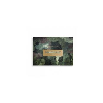 Magic studio camouflage palette
