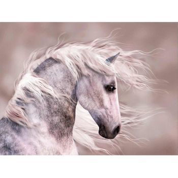 Fotomural Vinilo Caballo Blanco 500 X 300 Cm